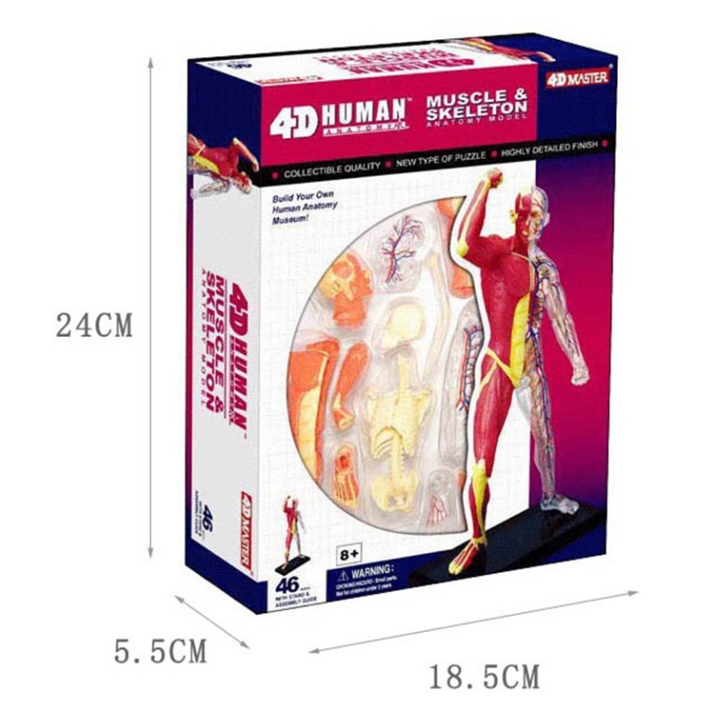4d Master Model anatomii ludzk – Medical Lab Assistant recenzja i cena