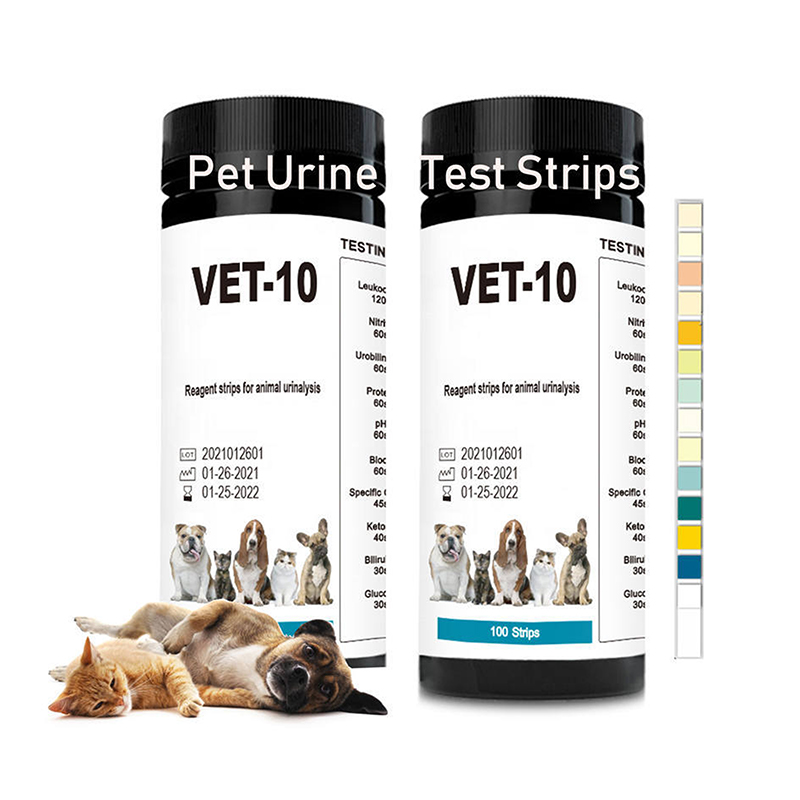 100 SZTUK 10-параметриowych pa – Urinalysis Reagent Strip recenzja i cena